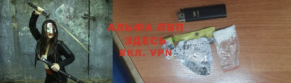 стафф Арсеньев