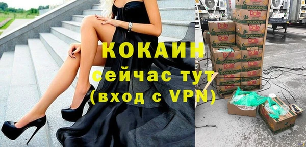 стафф Арсеньев