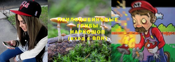 гидропоника Аркадак