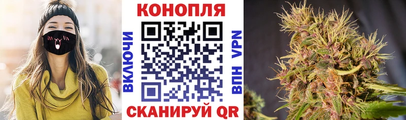 купить наркотики сайты Сальск Канабис конопля